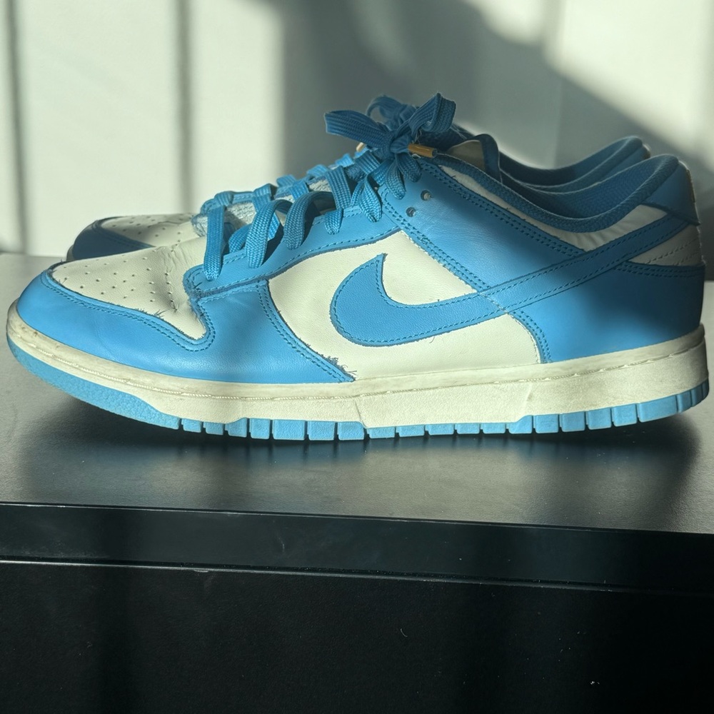 Nike dunk